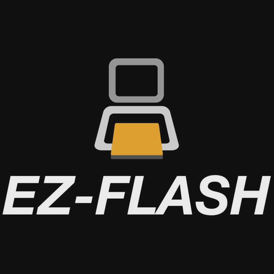 EZ Flash Parallel for the Nintendo DS - 3DS - 2DS